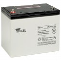 YUASA / YUCEL 12V - 60.0Ah - Y60-12 - AGM